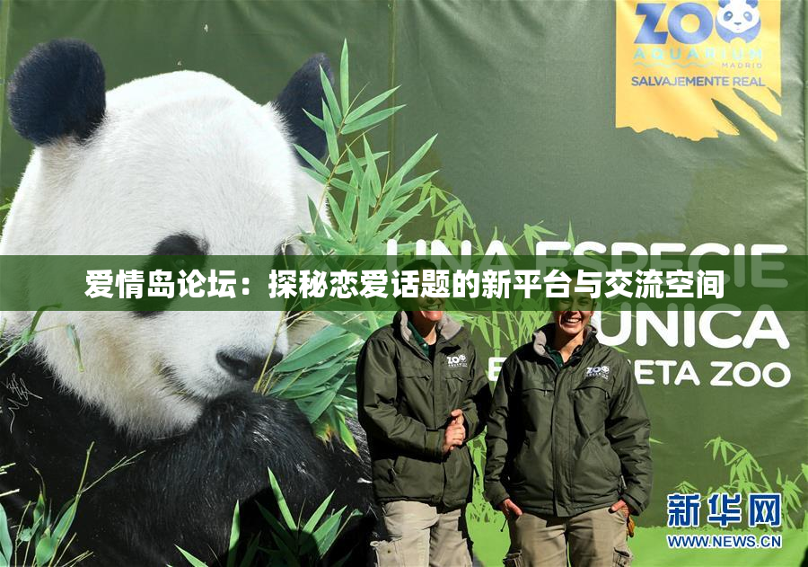 爱情岛论坛：探秘恋爱话题的新平台与交流空间