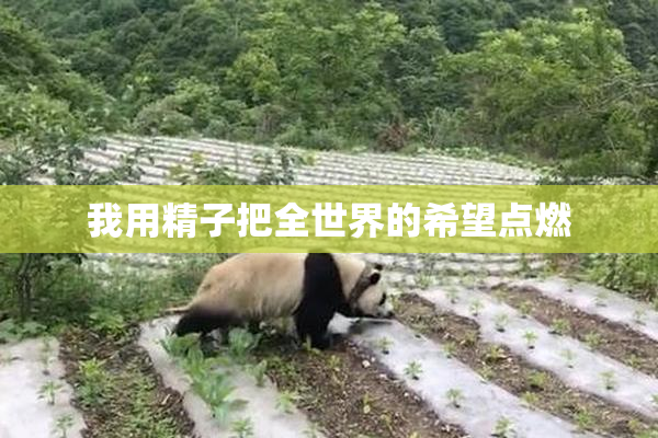我用精子把全世界的希望点燃