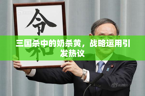 三国杀中的奶杀黄，战略运用引发热议