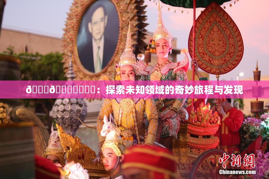 🍆🍑❌‌❌‌：探索未知领域的奇妙旅程与发现