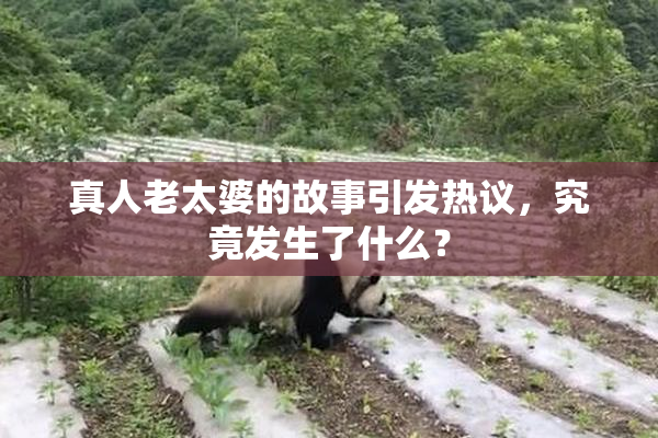 真人老太婆的故事引发热议，究竟发生了什么？