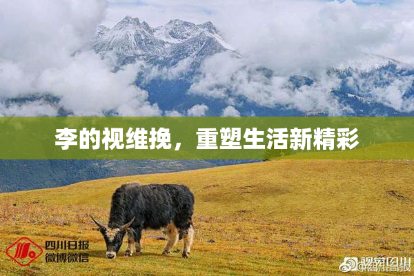 李的视维挽，重塑生活新精彩
