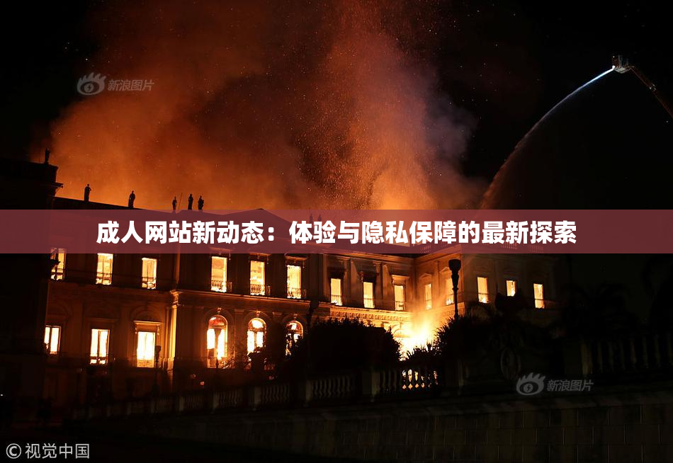 成人网站新动态：体验与隐私保障的最新探索