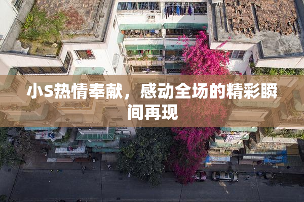 小S热情奉献，感动全场的精彩瞬间再现
