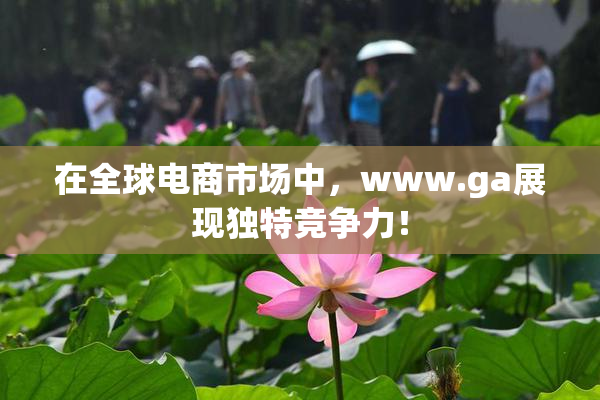 在全球电商市场中，www.ga展现独特竞争力！