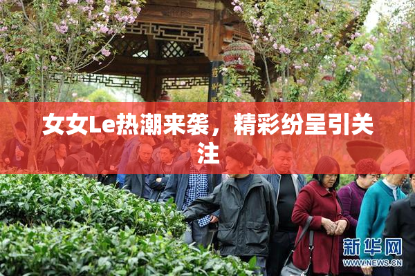 女女Le热潮来袭，精彩纷呈引关注
