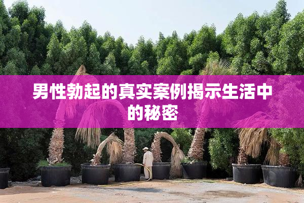 男性勃起的真实案例揭示生活中的秘密