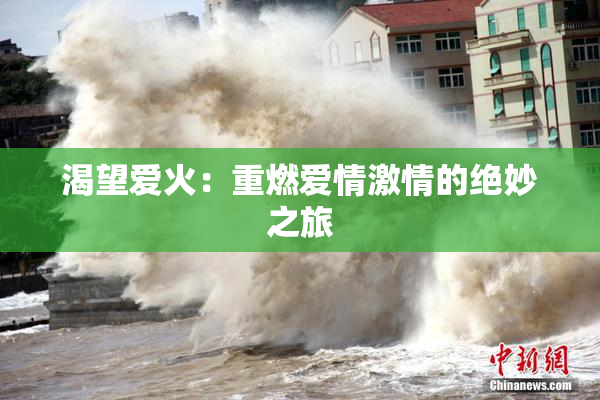渴望爱火：重燃爱情激情的绝妙之旅