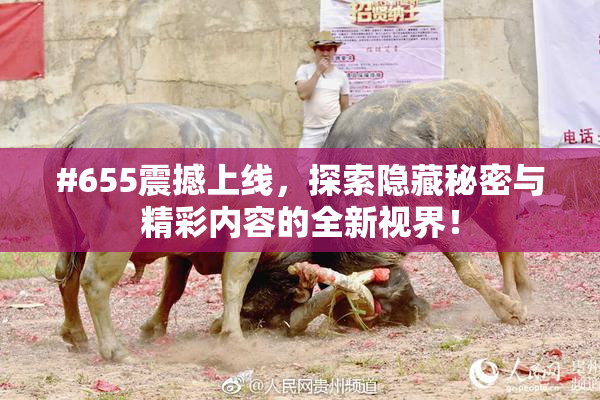 #655震撼上线，探索隐藏秘密与精彩内容的全新视界！