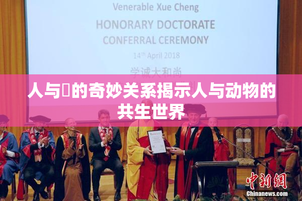 人与嘼的奇妙关系揭示人与动物的共生世界