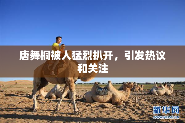 唐舞桐被人猛烈扒开，引发热议和关注