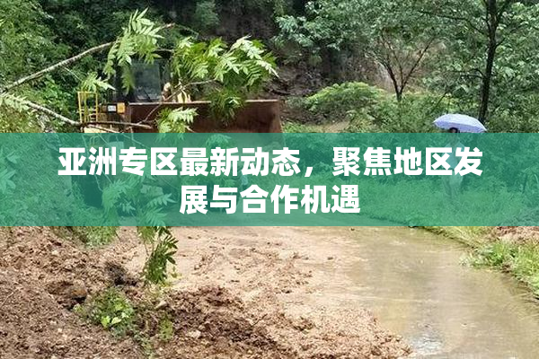 亚洲专区最新动态，聚焦地区发展与合作机遇