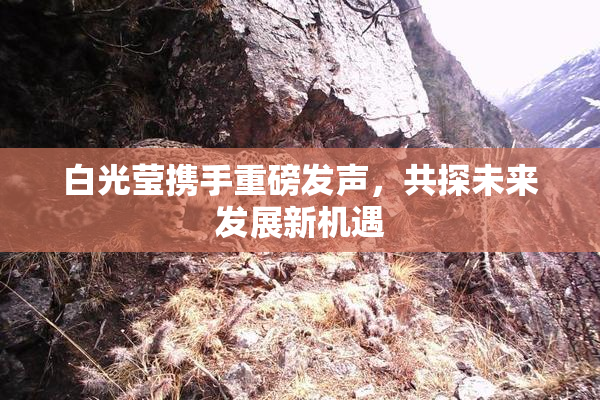 白光莹携手重磅发声，共探未来发展新机遇