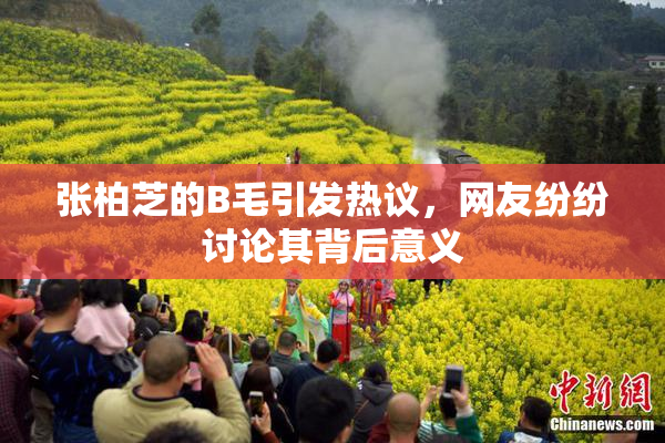 张柏芝的B毛引发热议，网友纷纷讨论其背后意义