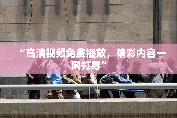 “高清视频免费播放，精彩内容一网打尽”