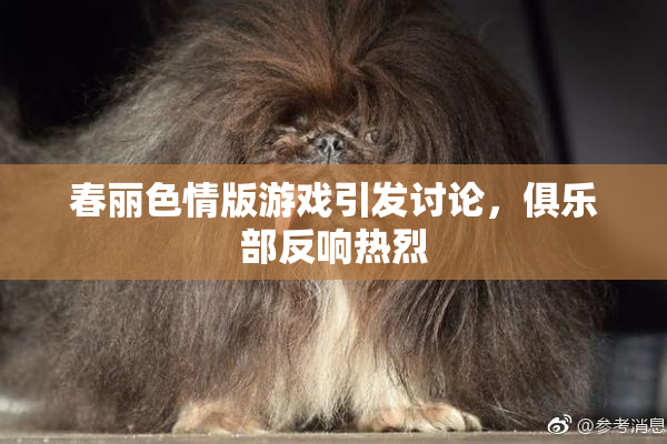 春丽色情版游戏引发讨论，俱乐部反响热烈