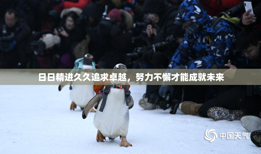 日日精进久久追求卓越，努力不懈才能成就未来