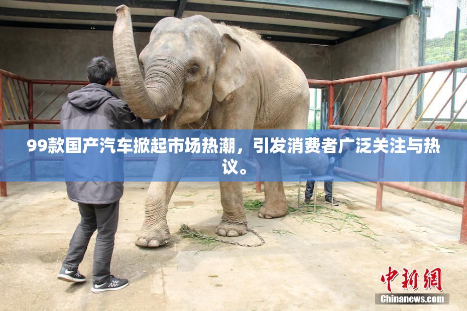 99款国产汽车掀起市场热潮，引发消费者广泛关注与热议。