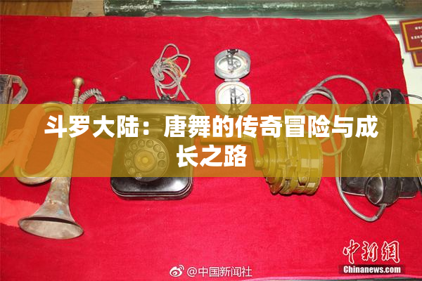 斗罗大陆：唐舞的传奇冒险与成长之路