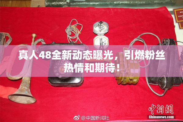 真人48全新动态曝光，引燃粉丝热情和期待！