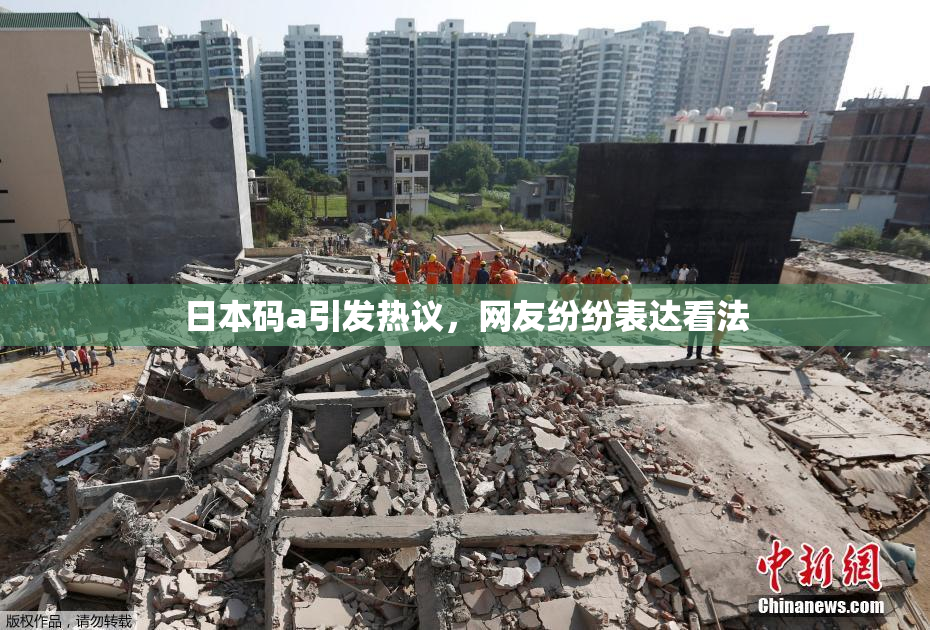日本码a引发热议，网友纷纷表达看法