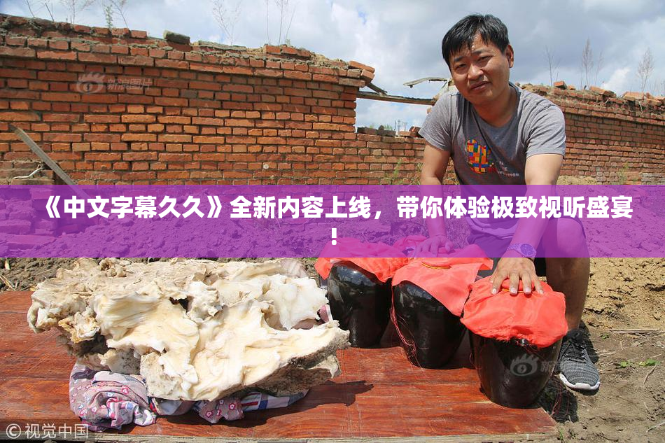 《中文字幕久久》全新内容上线，带你体验极致视听盛宴!