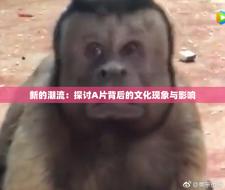 新的潮流：探讨A片背后的文化现象与影响