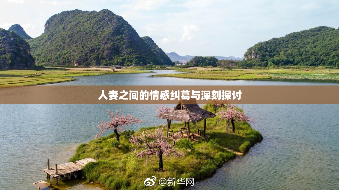 人妻之间的情感纠葛与深刻探讨