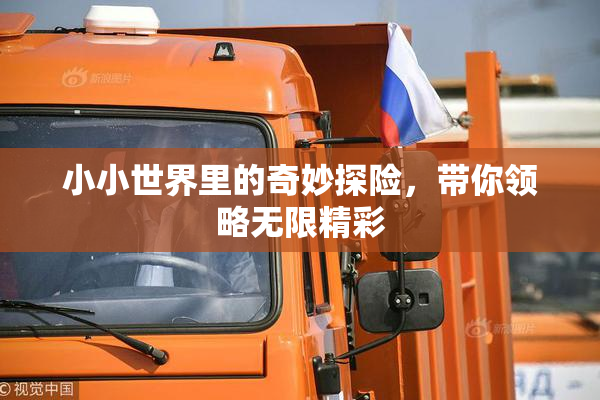 小小世界里的奇妙探险，带你领略无限精彩