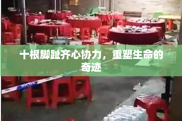 十根脚趾齐心协力，重塑生命的奇迹