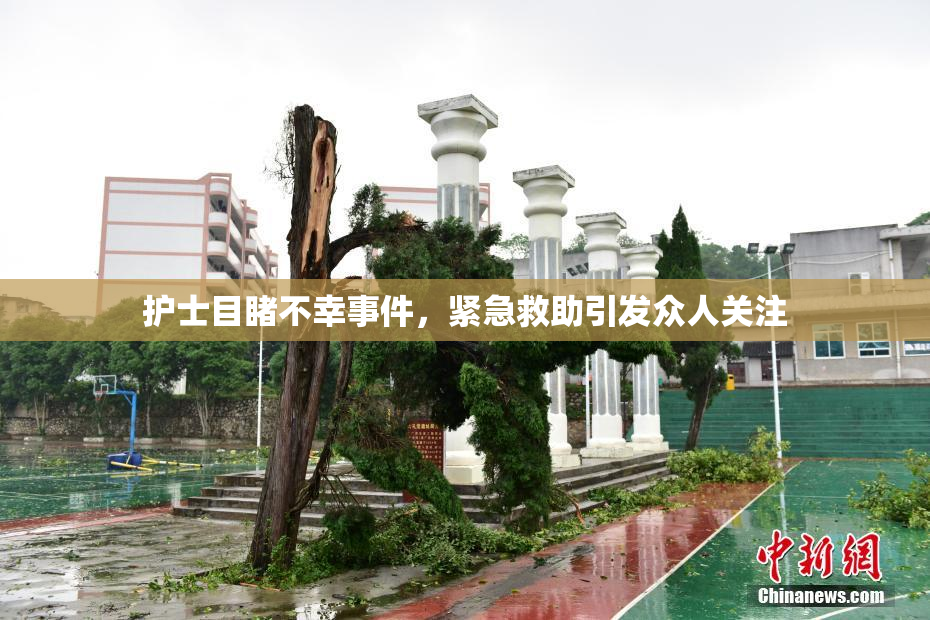 护士目睹不幸事件，紧急救助引发众人关注