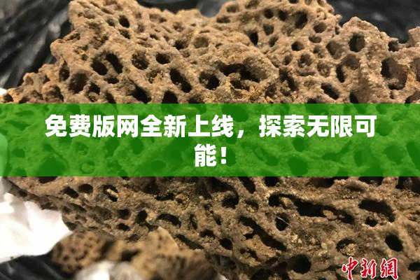 免费版网全新上线，探索无限可能！