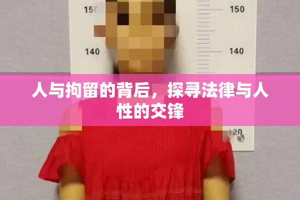 人与拘留的背后，探寻法律与人性的交锋