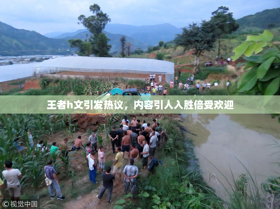 王者h文引发热议，内容引人入胜倍受欢迎