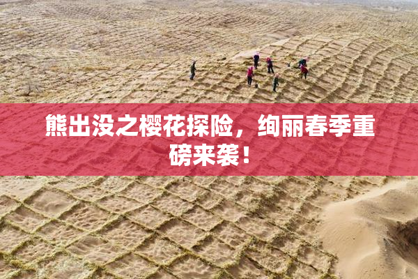 熊出没之樱花探险，绚丽春季重磅来袭！