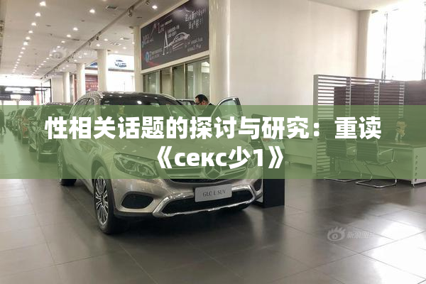 性相关话题的探讨与研究：重读《секс少1》