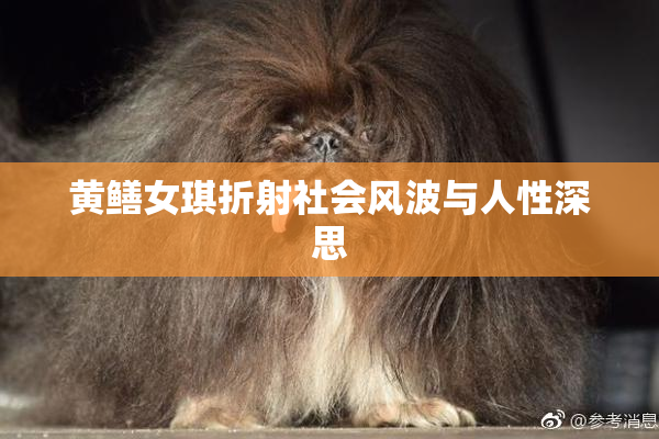 黄鳝女琪折射社会风波与人性深思