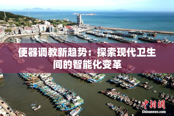 便器调教新趋势：探索现代卫生间的智能化变革
