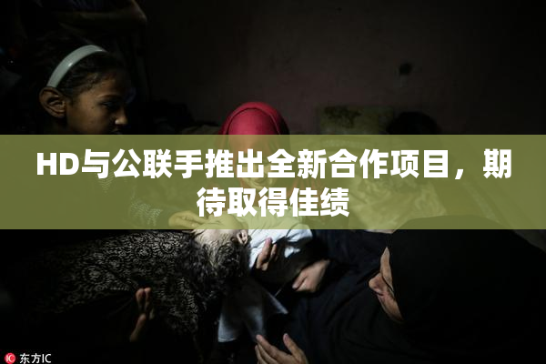 HD与公联手推出全新合作项目，期待取得佳绩