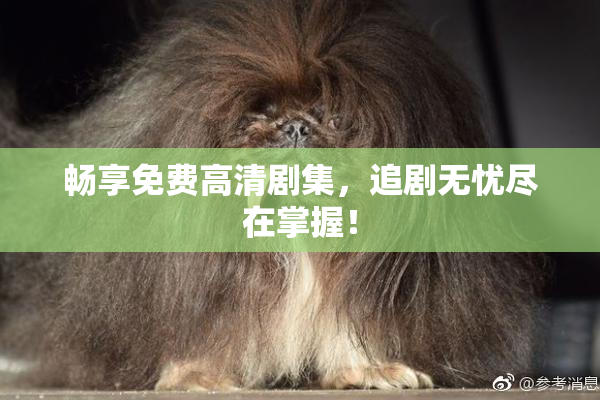 畅享免费高清剧集，追剧无忧尽在掌握！