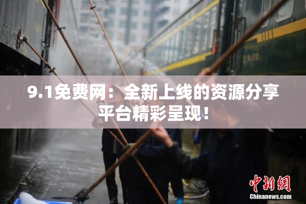 9.1免费网：全新上线的资源分享平台精彩呈现！