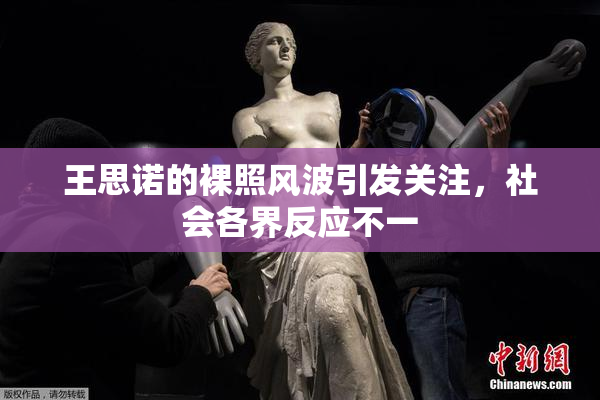王思诺的裸照风波引发关注，社会各界反应不一