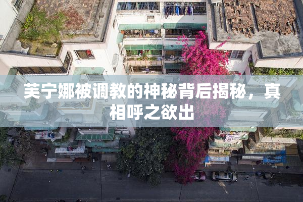 芙宁娜被调教的神秘背后揭秘，真相呼之欲出