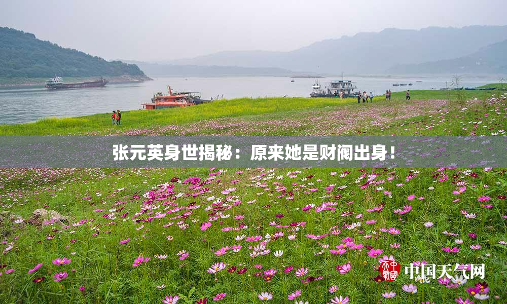 张元英身世揭秘：原来她是财阀出身！