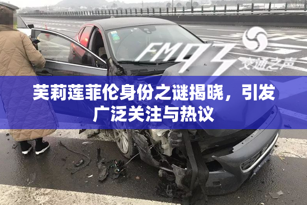 芙莉莲菲伦身份之谜揭晓，引发广泛关注与热议