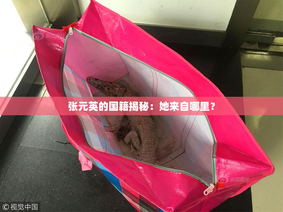 张元英的国籍揭秘：她来自哪里？