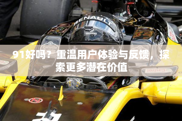 91好吗？重温用户体验与反馈，探索更多潜在价值