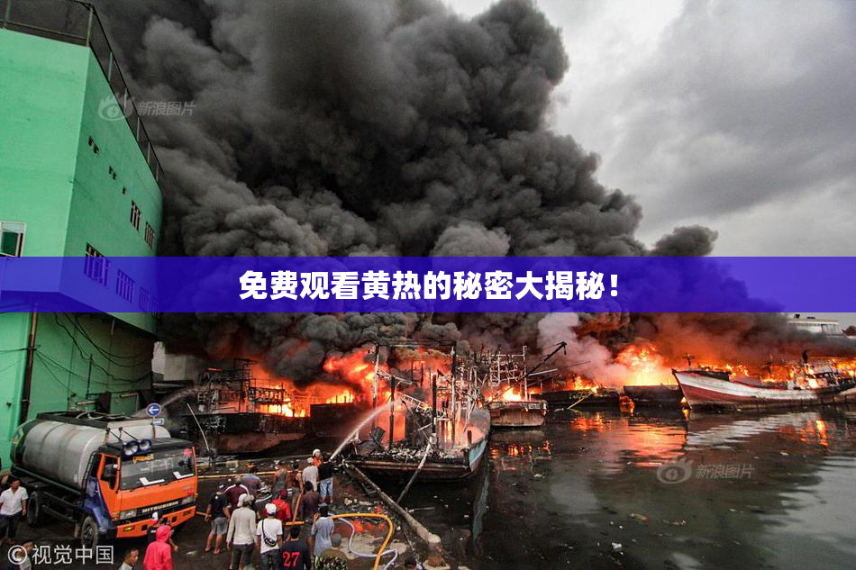 免费观看黄热的秘密大揭秘！