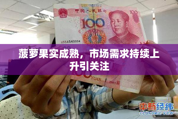 菠萝果实成熟，市场需求持续上升引关注