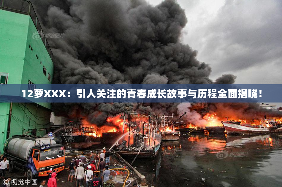 12萝XXX：引人关注的青春成长故事与历程全面揭晓！